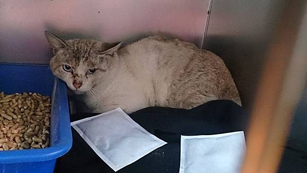 2013-12-14 10.49.50.jpg