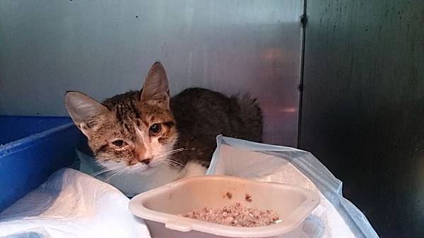 2013-12-14 10.50.12.jpg