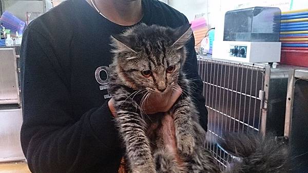 2013-12-14 11.12.59.jpg