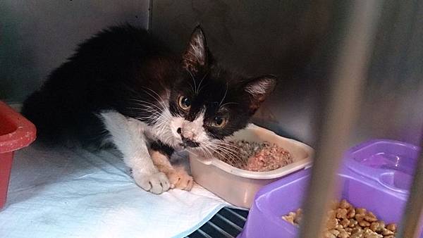 2013-12-14 12.05.11.jpg