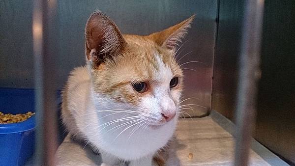 2013-12-14 12.06.47.jpg