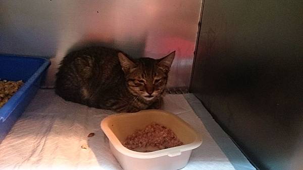 2013-12-14 13.35.12.jpg