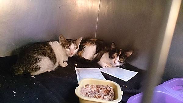 2013-12-14 14.31.59.jpg