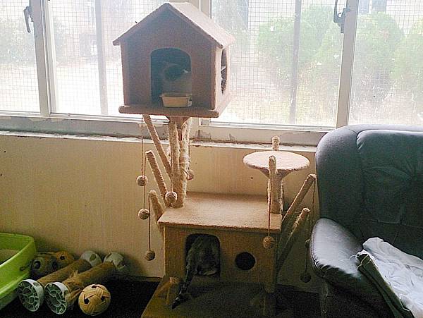 2013-12-14 11.15.08.jpg