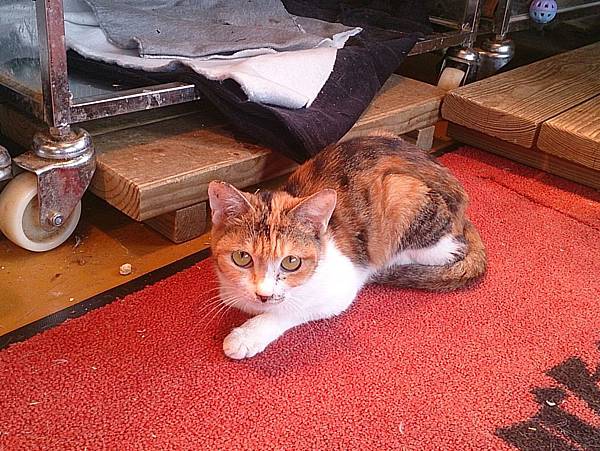 2013-12-14 11.15.39.jpg