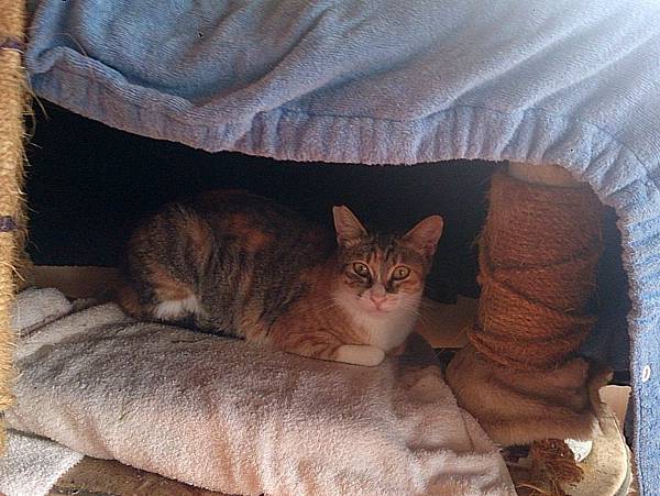 2013-12-14 11.15.48.jpg