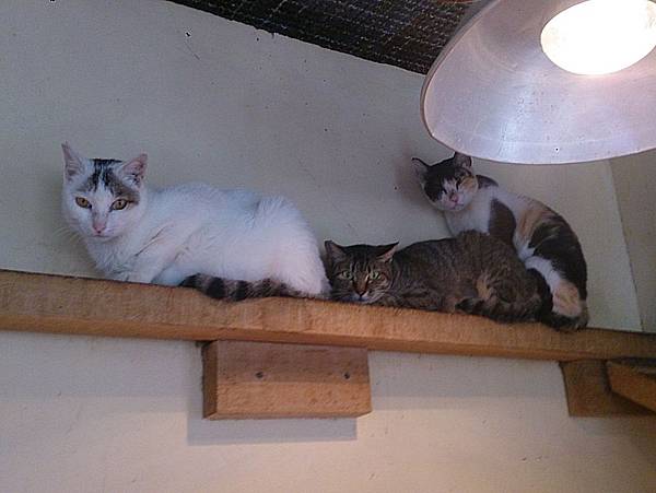 2013-12-14 11.15.55.jpg