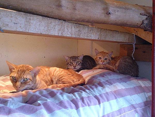 2013-12-14 11.16.01.jpg