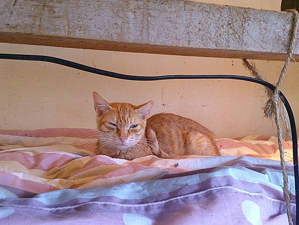 2013-12-14 11.16.05.jpg