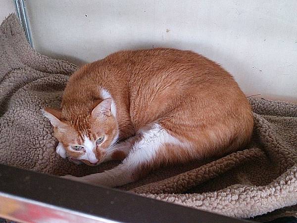 2013-12-14 11.16.12.jpg