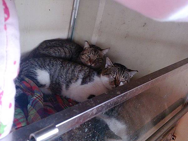 2013-12-14 11.16.23.jpg