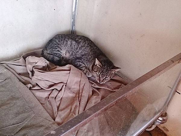 2013-12-14 11.16.26.jpg