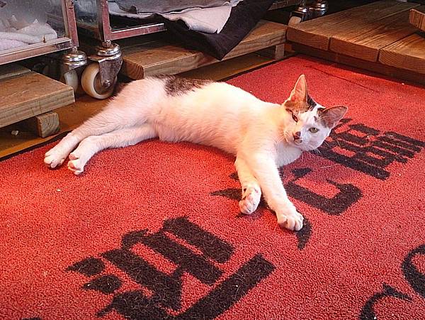 2013-12-14 11.18.26.jpg