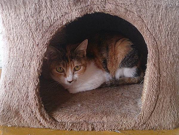 2013-12-14 11.23.55.jpg