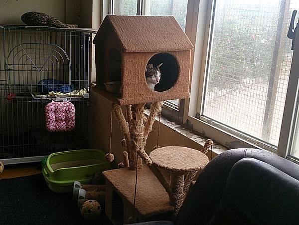 2013-12-14 11.25.51.jpg