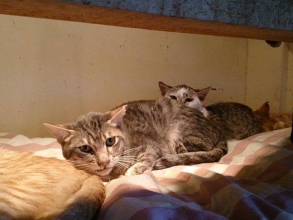 2013-12-14 14.58.52.jpg