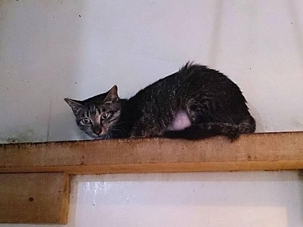 2013-12-14 14.59.18.jpg