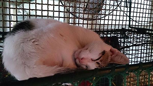 2013-12-14 14.59.32.jpg