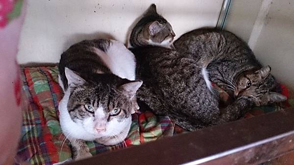 2013-12-14 15.03.49.jpg