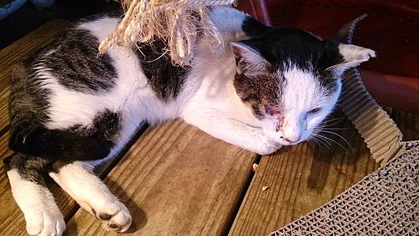 2013-12-14 15.04.02.jpg