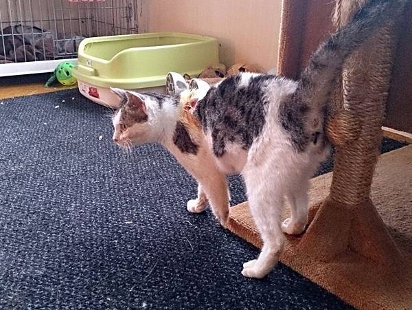 2013-12-14 15.09.06.jpg