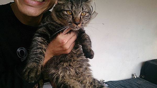 2013-12-14 11.10.06.jpg