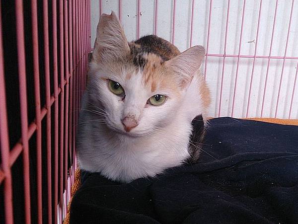 2013-12-14 13.33.07.jpg