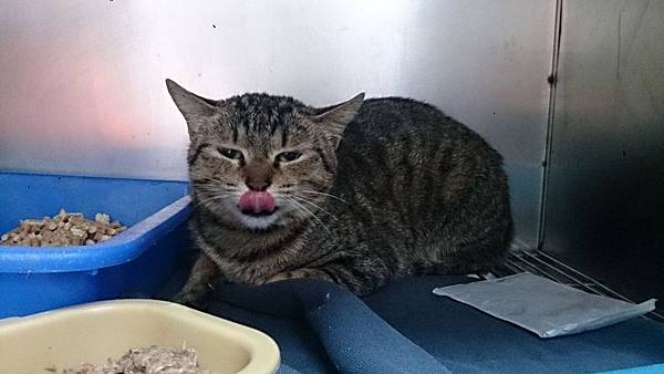 2014-01-04 10.20.38.jpg