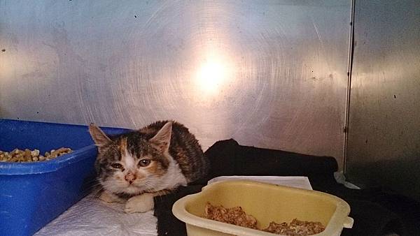 2014-01-04 10.21.22.jpg