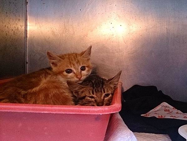 2014-01-04 10.22.02.jpg