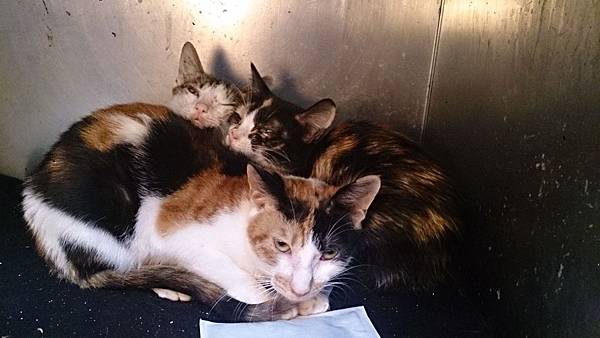 2014-01-04 10.22.25.jpg