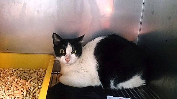 2014-01-04 10.22.35.jpg