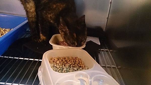 2014-01-04 10.29.43.jpg