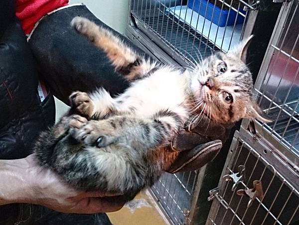 2014-01-04 13.45.16.jpg