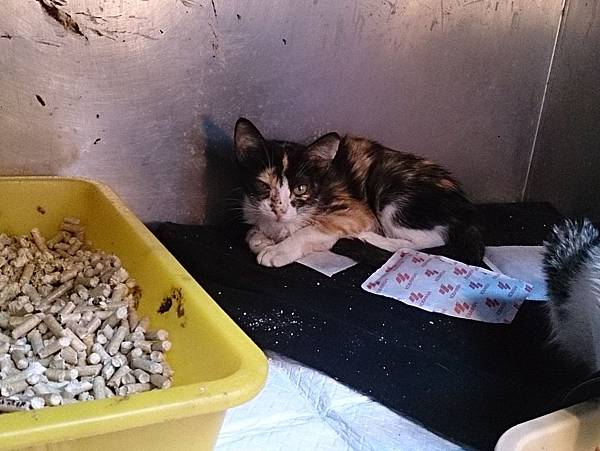 2014-01-04 13.47.23.jpg