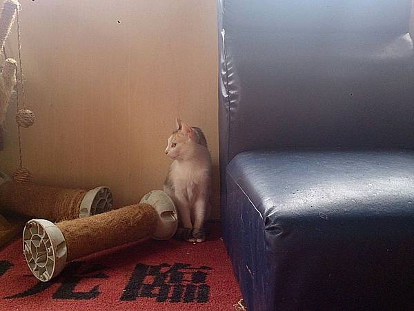 2014-01-04 10.23.23.jpg