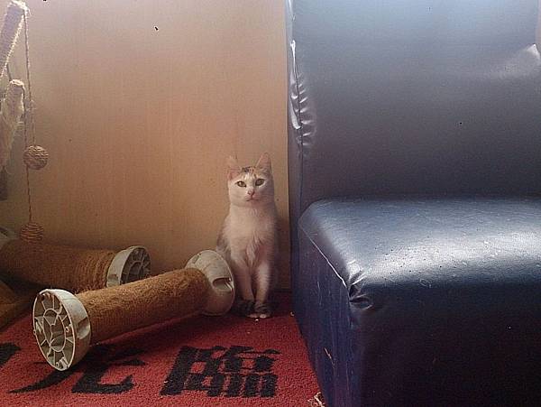 2014-01-04 10.23.25.jpg