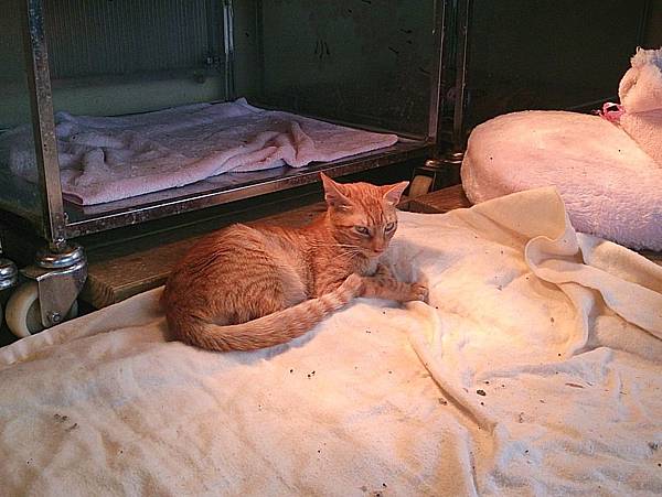 2014-01-04 10.25.00.jpg