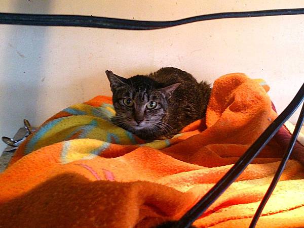 2014-01-04 10.25.17.jpg