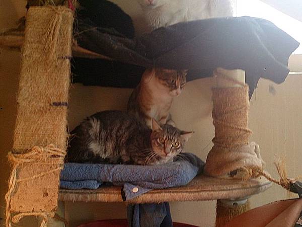 2014-01-04 10.25.32.jpg