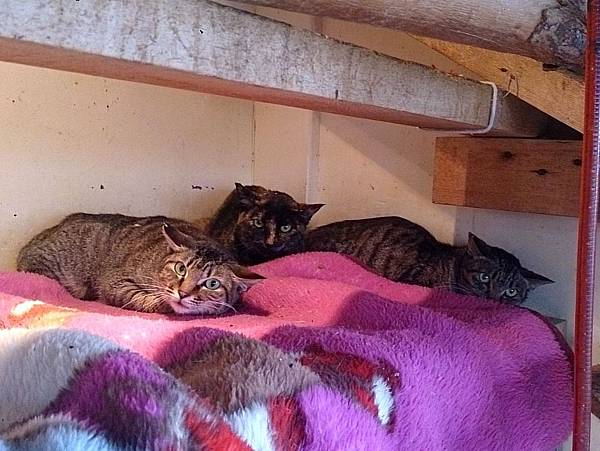 2014-01-04 10.25.42.jpg