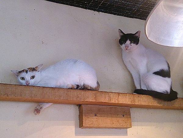 2014-01-04 10.26.11.jpg