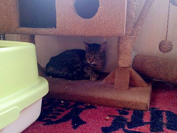 2014-01-04 10.26.59.jpg