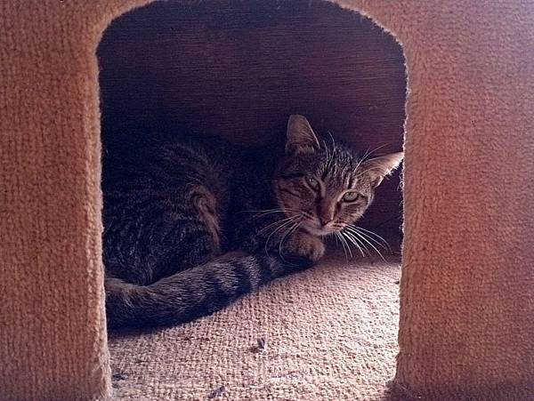 2014-01-04 13.04.45.jpg