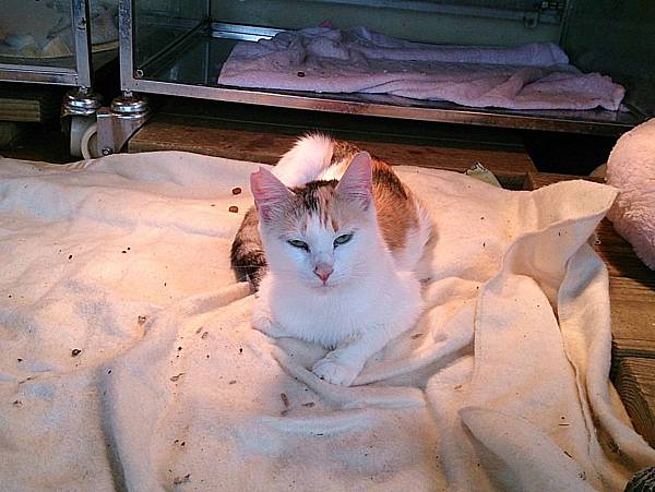 2014-01-04 13.05.07.jpg