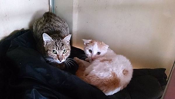 2014-01-04 13.05.32.jpg