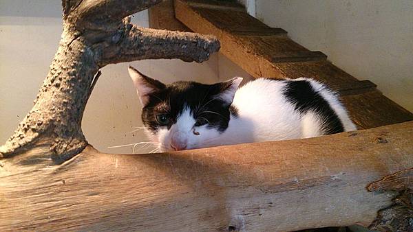 2014-01-04 13.05.39.jpg