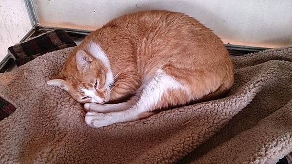 2014-01-04 13.05.58.jpg