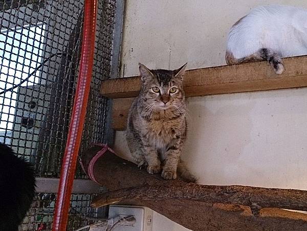 2014-01-04 13.06.13.jpg