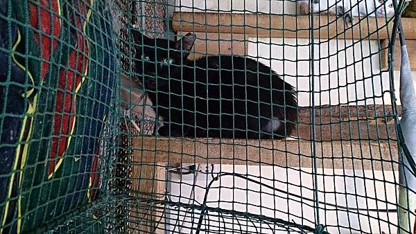 2014-01-04 13.06.44.jpg